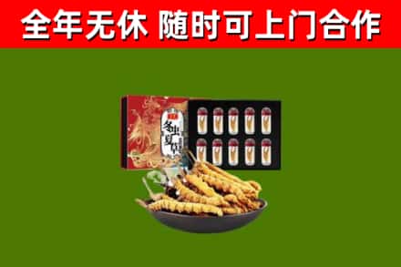 深泽县回收冬虫夏草价格