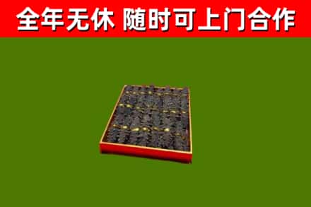 深泽县回收海参